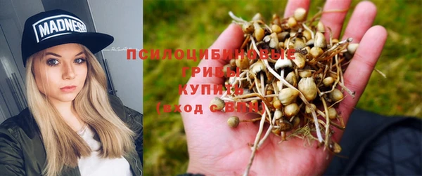 амфетамин Заволжск