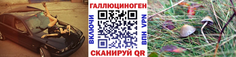 хочу   Зеленодольск  Псилоцибиновые грибы MAGIC MUSHROOMS 