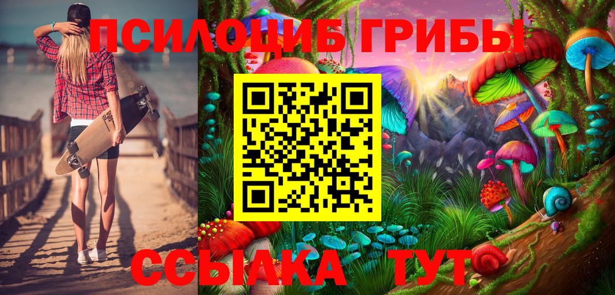 Галлюциногенные грибы Psilocybe Зеленодольск